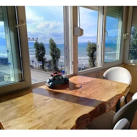 Beachfront Flat